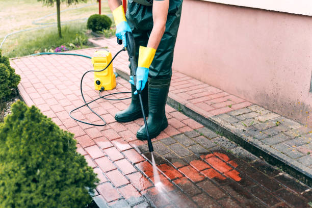 Animal Enclosure Cleaning in Hunter, OH